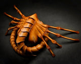 Alien Cosplay Costume