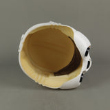 Clone Trooper Helmet
